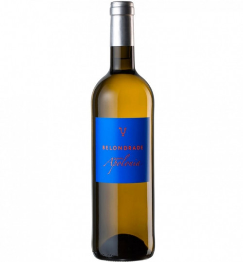 Кинта Аполония 2019, 0.75, вино белое, сухое 